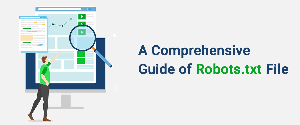 A Comprehensive Guide of Robots.txt File